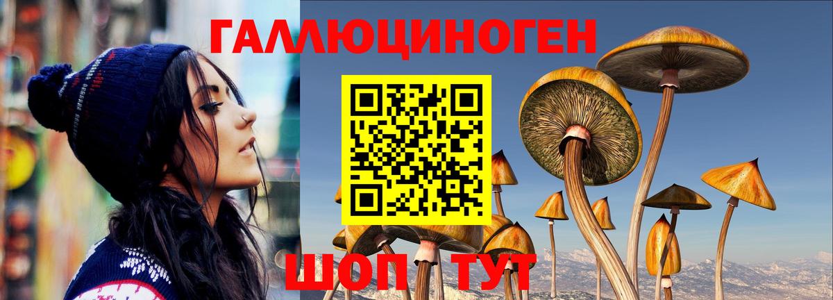 Галлюциногенные грибы Magic Shrooms  Вход с VPN  Казань 